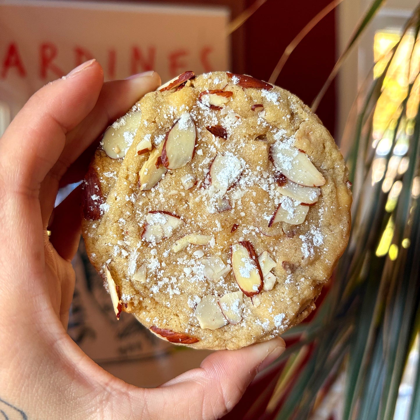 One Dozen Monster Cookies